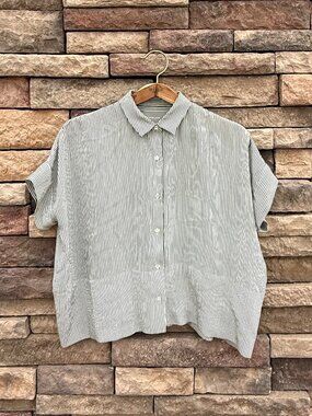 Everlane Silk Striped Button-Up Shirt – Black/White – Women’s Small